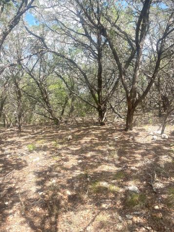854 Pole Cave Creek Road Leakey TX 78873