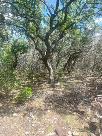 854 Pole Cave Creek Road Leakey TX 78873