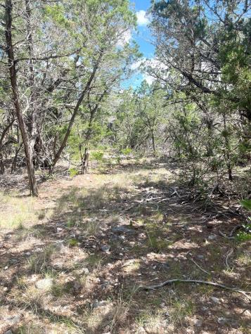 854 Pole Cave Creek Road Leakey TX 78873