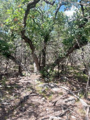 854 Pole Cave Creek Road Leakey TX 78873