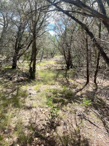 854 Pole Cave Creek Road Leakey TX 78873
