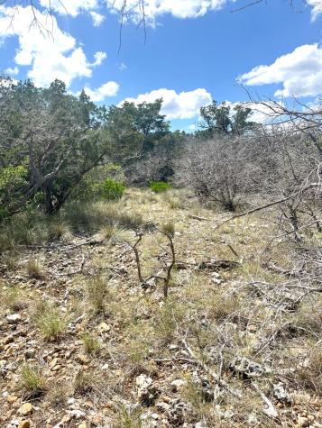 854 Pole Cave Creek Road Leakey TX 78873