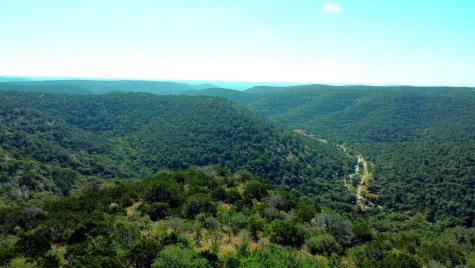 Tbd Other Leakey TX 78873