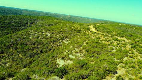 Tbd Other Leakey TX 78873
