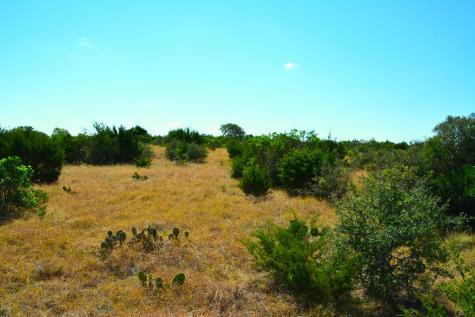 Tbd Other Leakey TX 78873