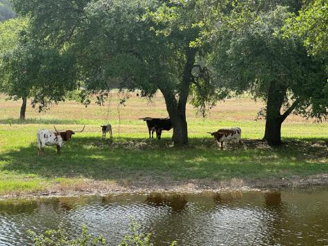 1275 Cypress Creek Road Kerrville TX 78028