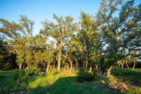 225 Lost Man Road Mountain Home TX 78058
