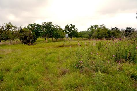000 Fm 479 Harper TX 78631