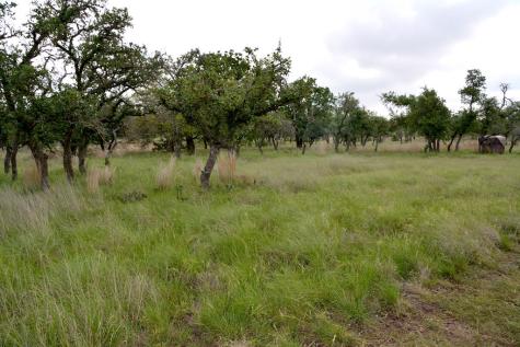 000 Fm 479 Harper TX 78631