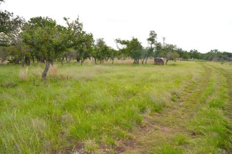 000 Fm 479 Harper TX 78631