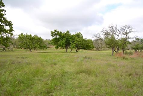 000 Fm 479 Harper TX 78631