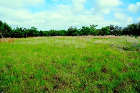 000 Fm 479 Harper TX 78631