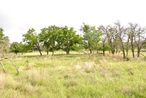 000 Fm 479 Harper TX 78631