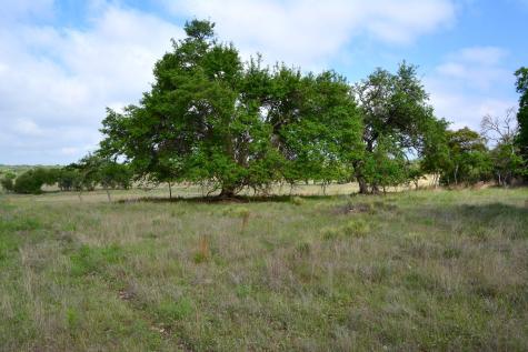 000 Fm 479 Harper TX 78631