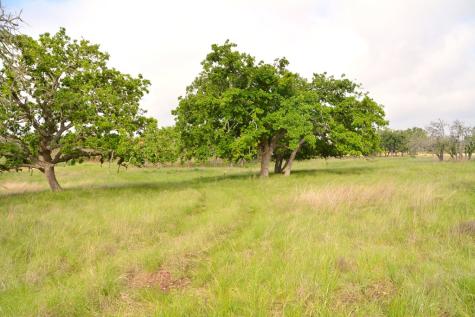 000 Fm 479 Harper TX 78631