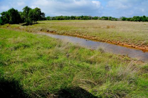000 Fm 479 Harper TX 78631