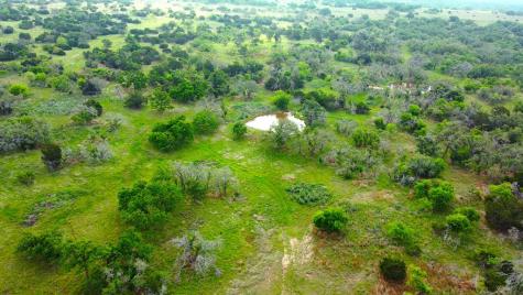 000 Fm 479 Harper TX 78631