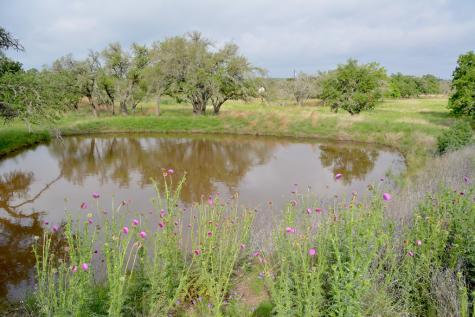 000 Fm 479 Harper TX 78631