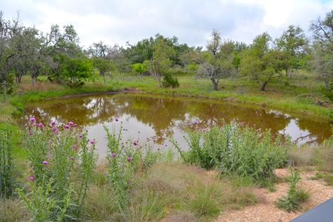 000 Fm 479 Harper TX 78631