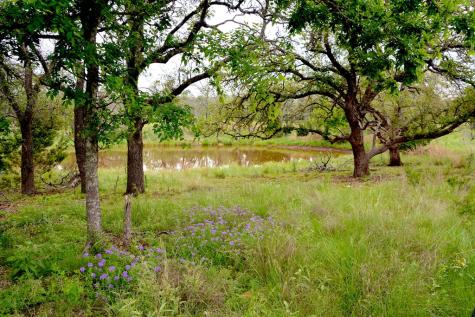 000 Fm 479 Harper TX 78631