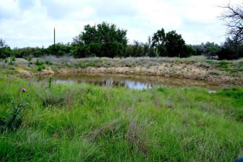 000 Fm 479 Harper TX 78631