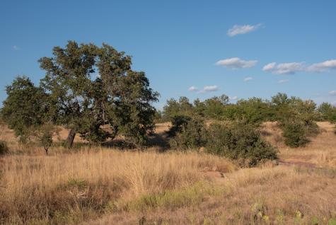 Mason TX 76842