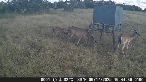 499 Sd 24750 Rocksprings TX 78880