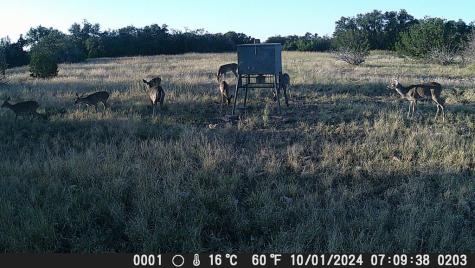 499 Sd 24750 Rocksprings TX 78880