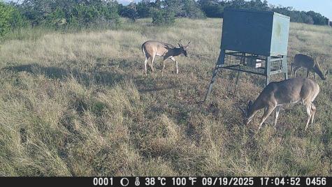 499 Sd 24750 Rocksprings TX 78880