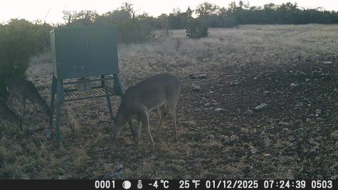 499 Sd 24750 Rocksprings TX 78880