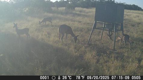 499 Sd 24750 Rocksprings TX 78880