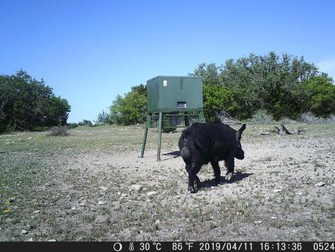 499 Sd 24750 Rocksprings TX 78880