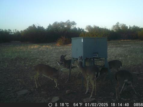 499 Sd 24750 Rocksprings TX 78880