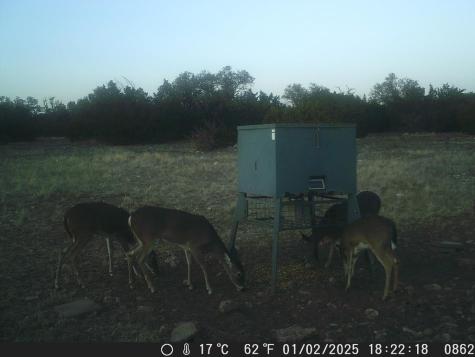 499 Sd 24750 Rocksprings TX 78880