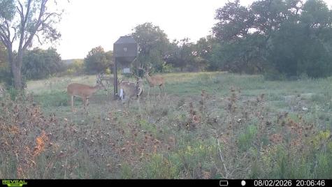 6729 Kc 210 Junction TX 76859