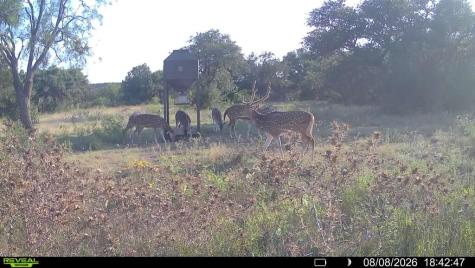 6729 Kc 210 Junction TX 76859