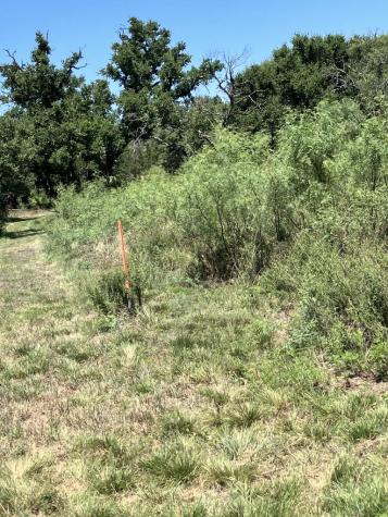6729 Kc 210 Junction TX 76859