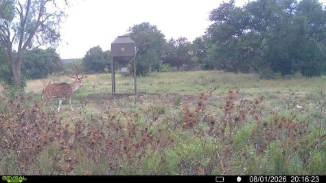 6729 Kc 210 Junction TX 76859