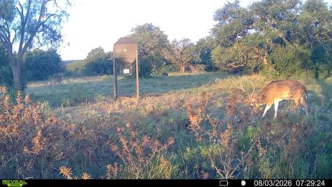 6729 Kc 210 Junction TX 76859