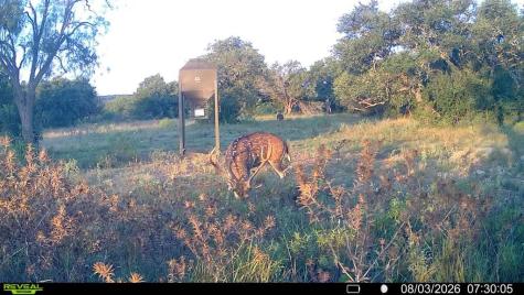 6729 Kc 210 Junction TX 76859