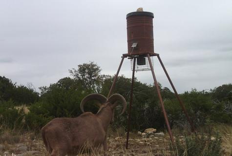 Tbd Other Leakey TX 78873