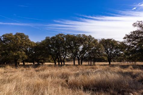 Lot 15 Legacy Oaks Drive Harper TX 78631