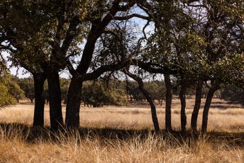 Lot 15 Legacy Oaks Drive Harper TX 78631