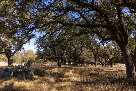 Lot 15 Legacy Oaks Drive Harper TX 78631