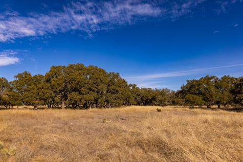 Lot 15 Legacy Oaks Drive Harper TX 78631