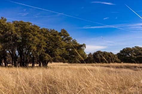Lot 15 Legacy Oaks Drive Harper TX 78631