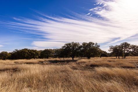 Lot 15 Legacy Oaks Drive Harper TX 78631