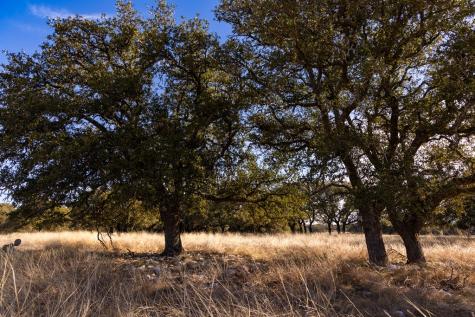 Lot 15 Legacy Oaks Drive Harper TX 78631