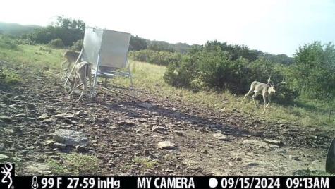 1 El Rincon Road Mountain Home TX 78058