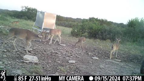 1 El Rincon Road Mountain Home TX 78058